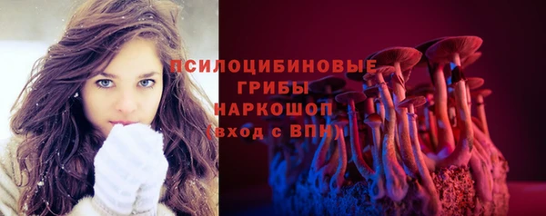 ешки Белокуриха