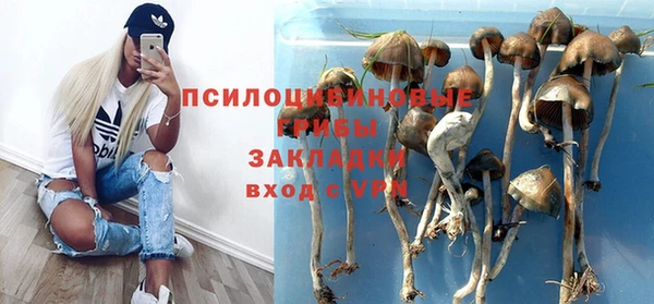 ешки Белоозёрский