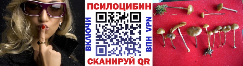 Галлюциногенные грибы MAGIC MUSHROOMS  darknet состав  Кедровый  наркота  кракен ONION 
